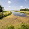 Holland landschap
