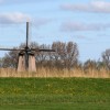 molen