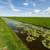 Dutch landscape