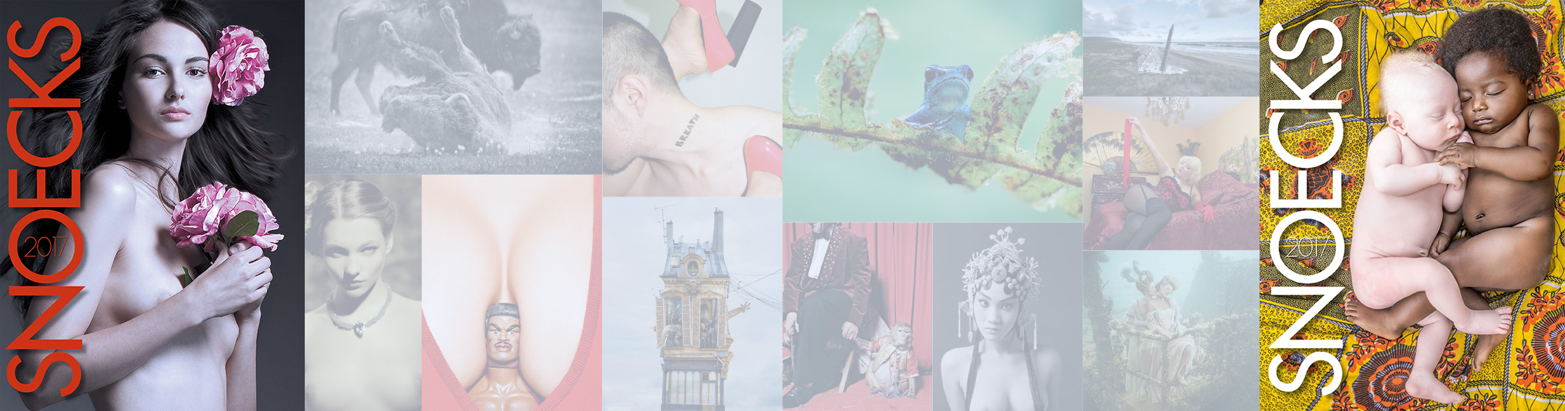 Slider Image