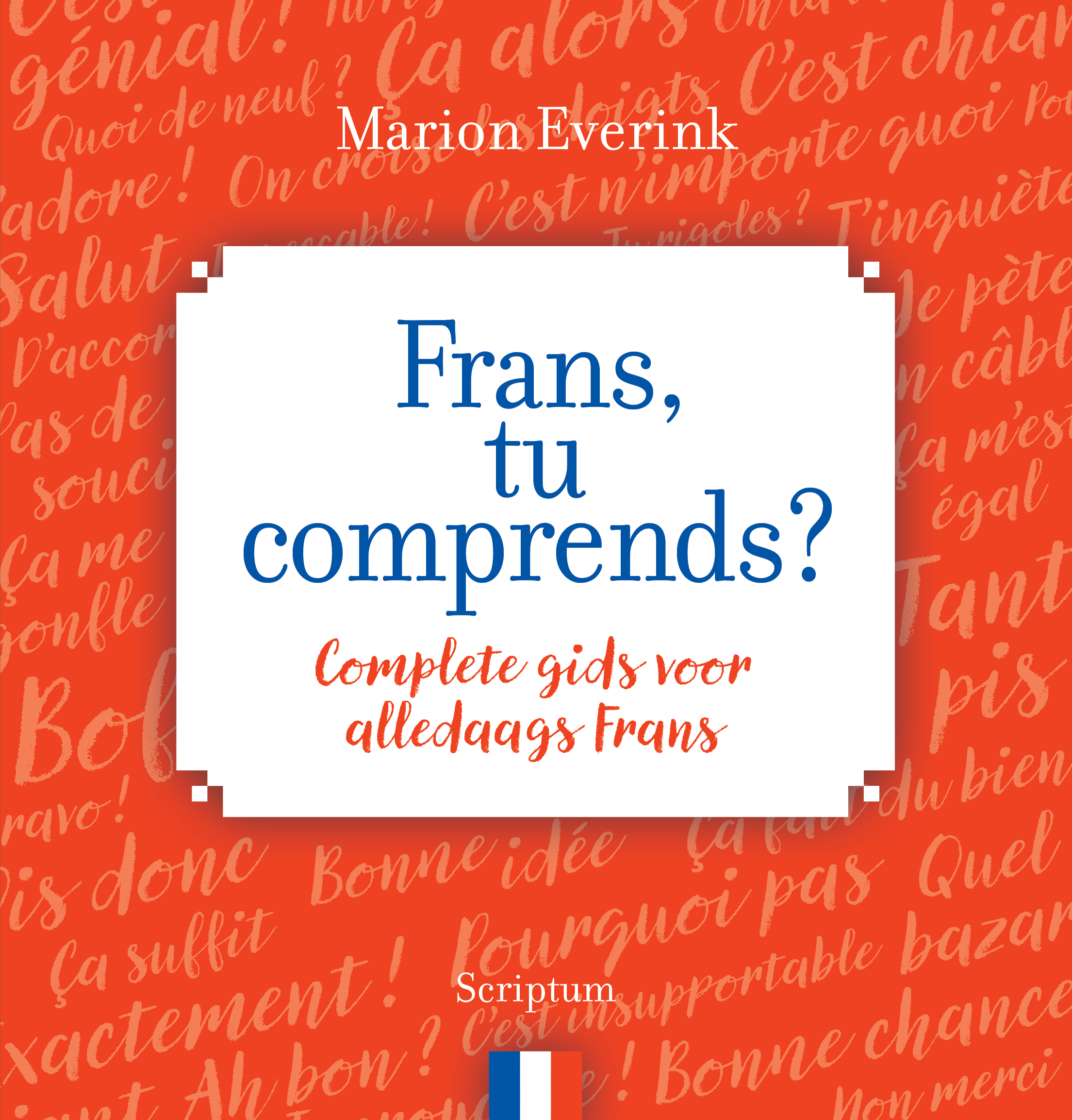 Geven fluit Haarvaten Frans, tu comprends? - Scriptum